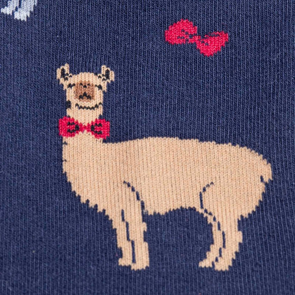 Sock-It-To-Me-Socks-Llama Drama-Detail