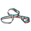 DERBY-LACES- Skate-Carry-Leash-Pastel-Rainbow