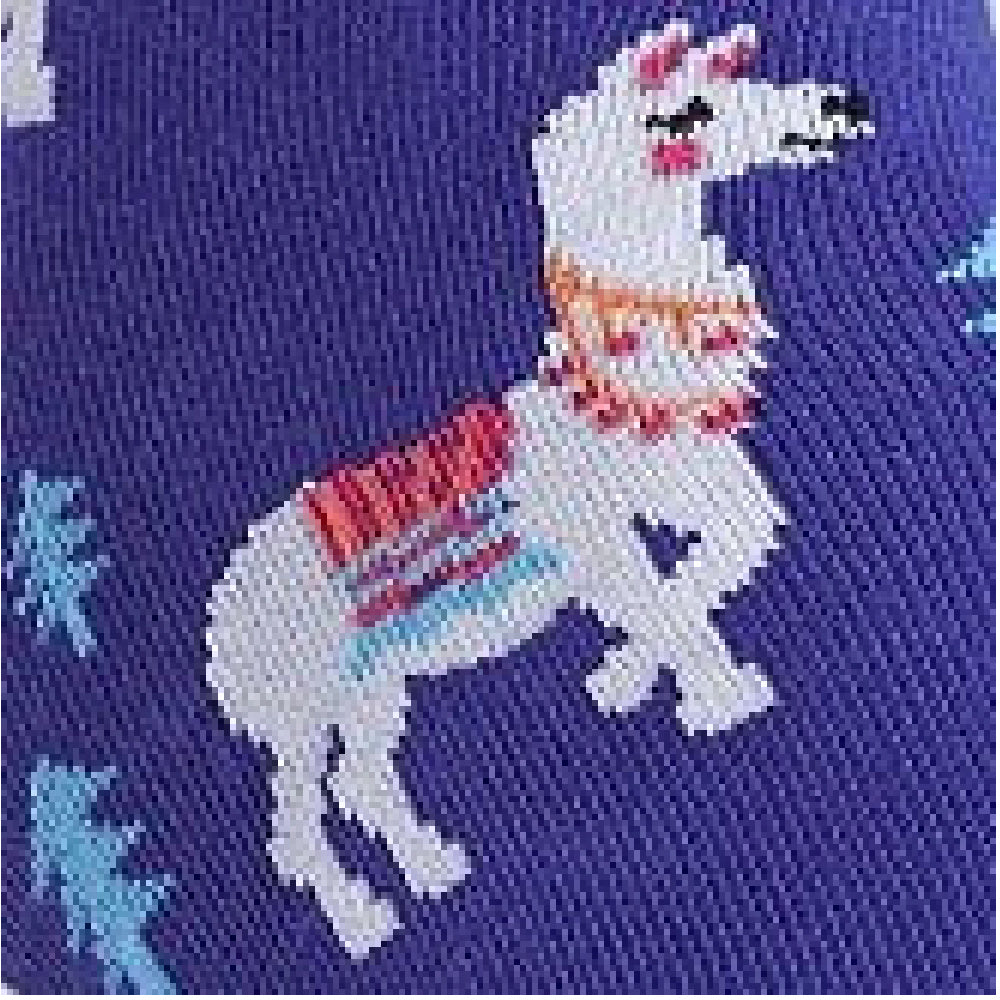 Sock-It-To-Me-Como-Te-Llamas?-Womens-Socks-Details