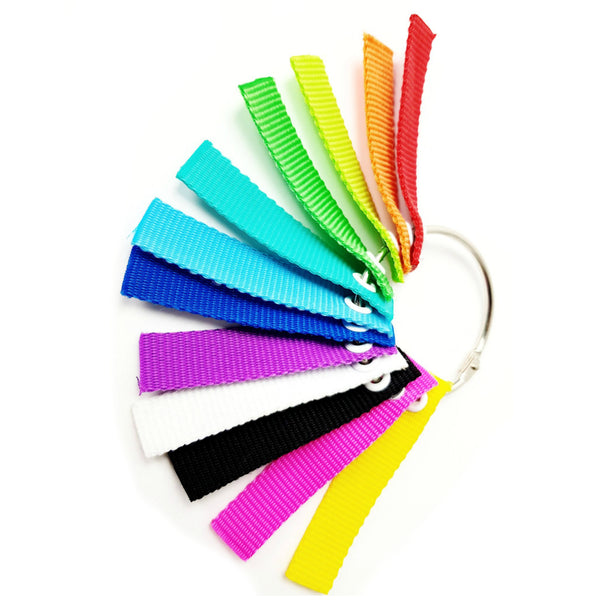 RIEDELL-Solaris-V-Lock -replacement-strap-rainbow